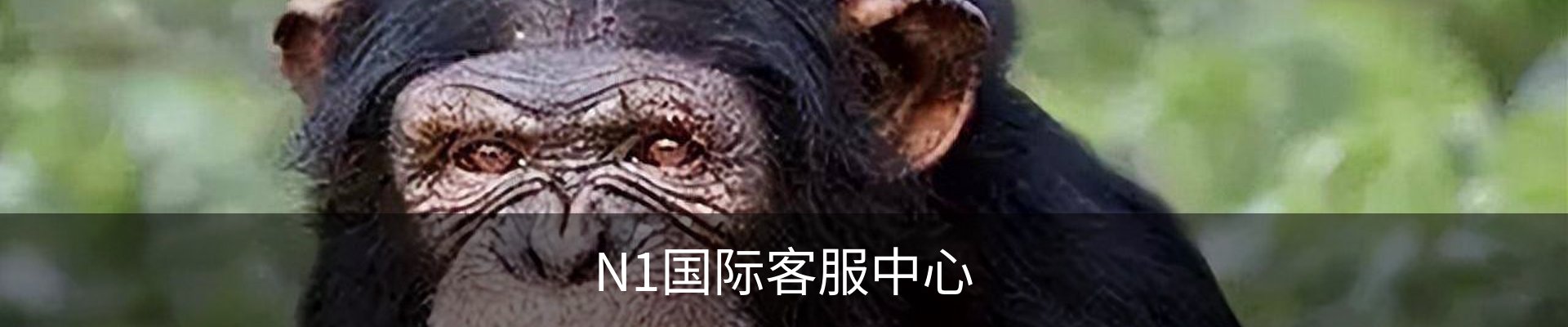 N1国际客服中心